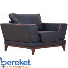 Ofis büro kanepeleri